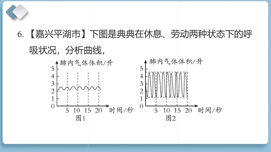 2025年教科版四年级科学上册 第二单元 呼吸与消化 综合素质达标(复习课件)第7页