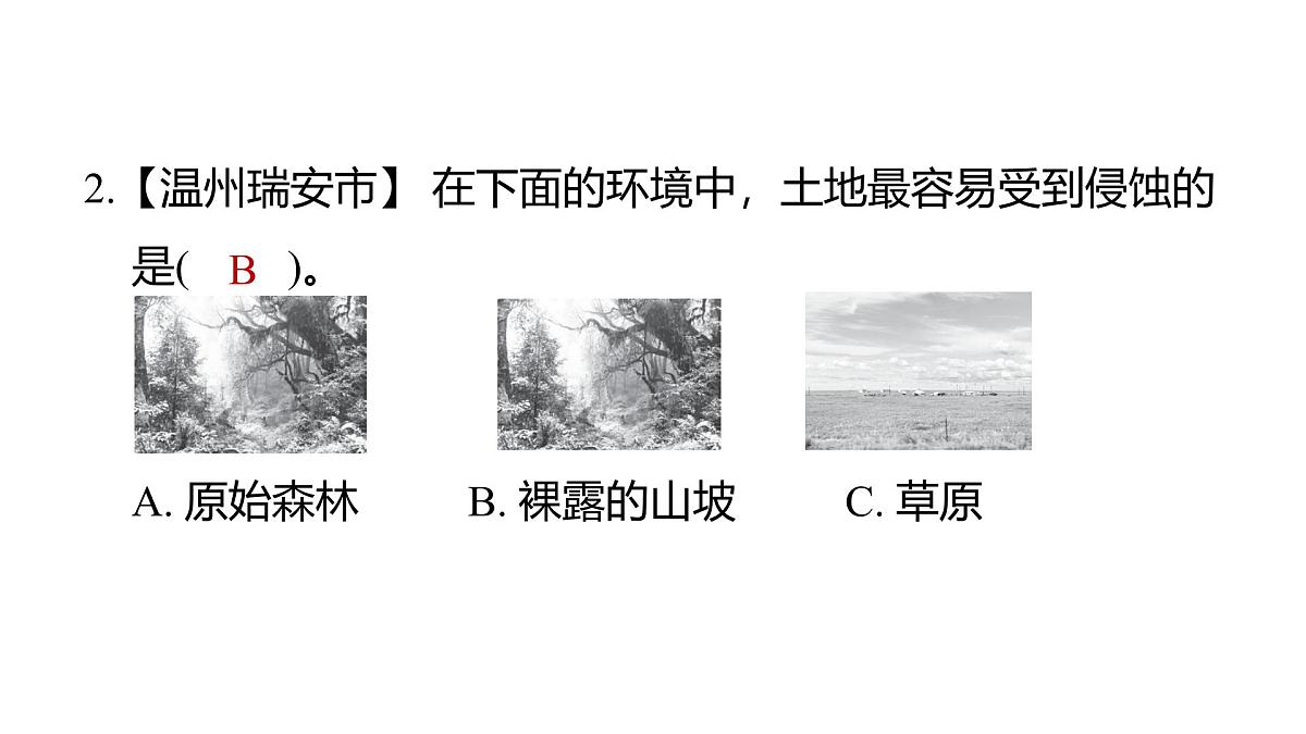 2025年教科版五年级科学上册2.7总结我们的认识(复习课件)第3页