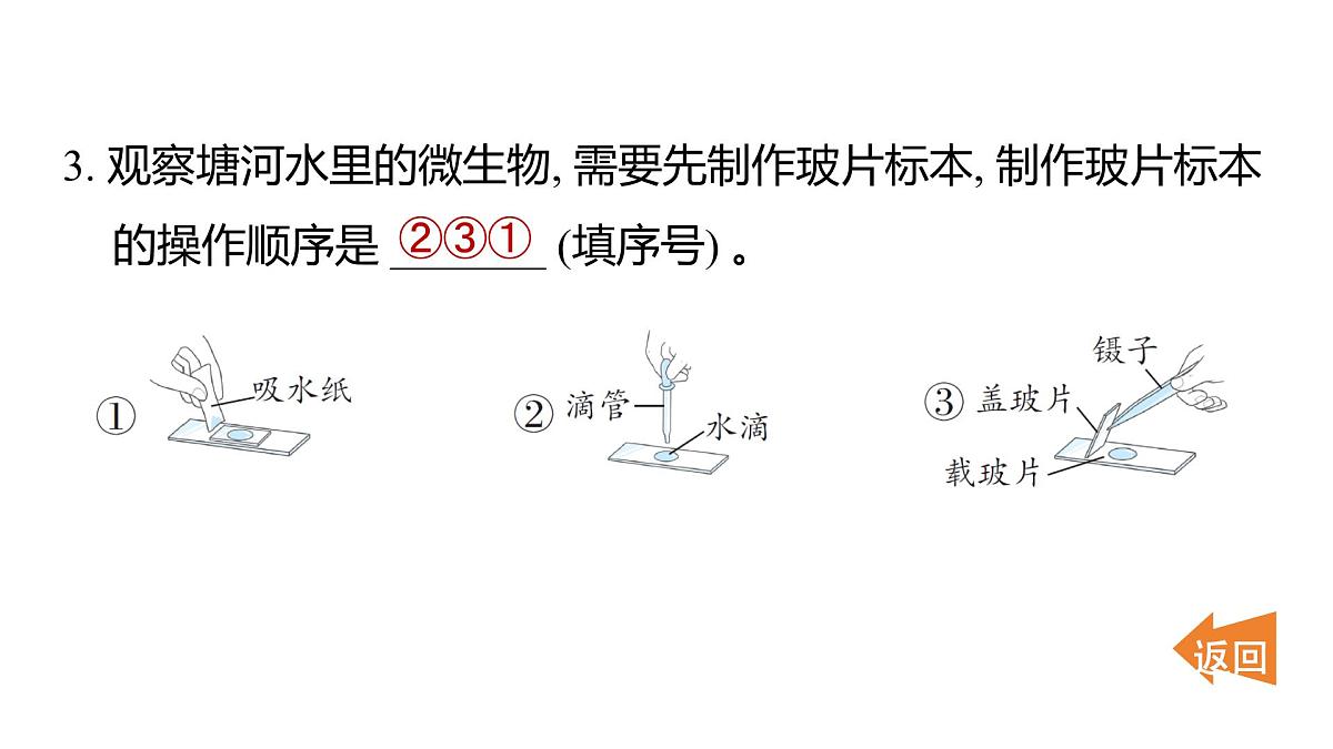 2025年教科版六年级科学上册 第一单元 微小世界重点实验提优练(复习课件)第5页