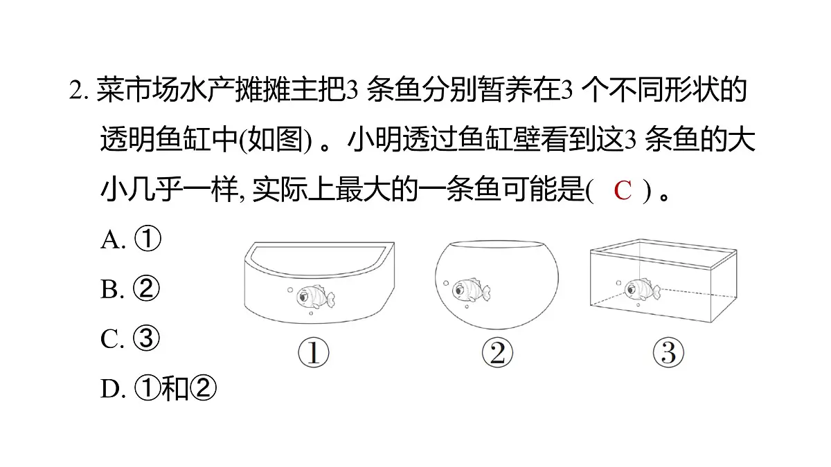 教科版六年级科学上册 2024—2025 第一学期台州温岭市期末教学质量监测(课件)第3页