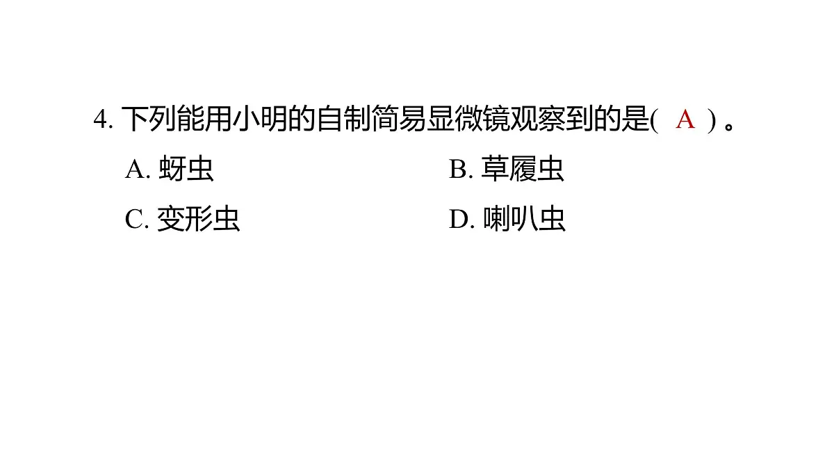教科版六年级科学上册 2024—2025 第一学期台州温岭市期末教学质量监测(课件)第5页