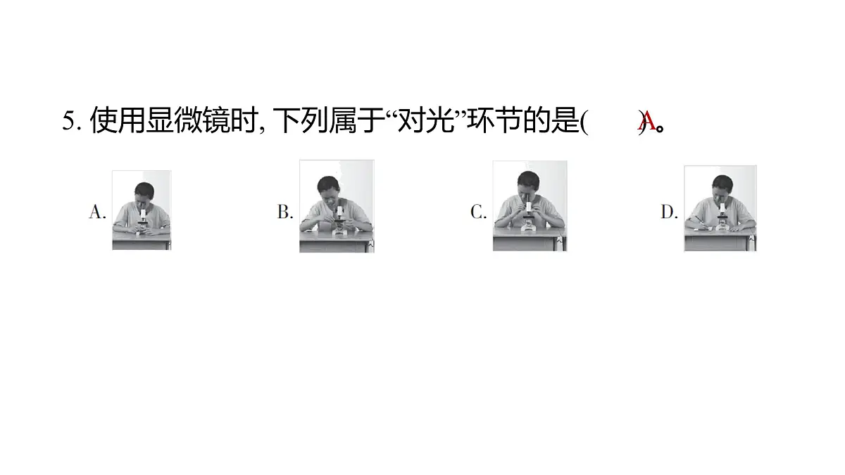 教科版六年级科学上册 2024—2025 第一学期台州温岭市期末教学质量监测(课件)第6页
