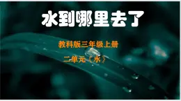 教科版三年級上冊《水到哪里去了》2025新課件