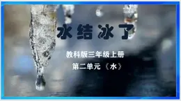 2.4教科版三年級上冊《 水結(jié)冰了》2025課件