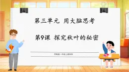 【蘇教版】一上科學(xué)  3.9《探究秋葉的秘密》課件+教案+素材