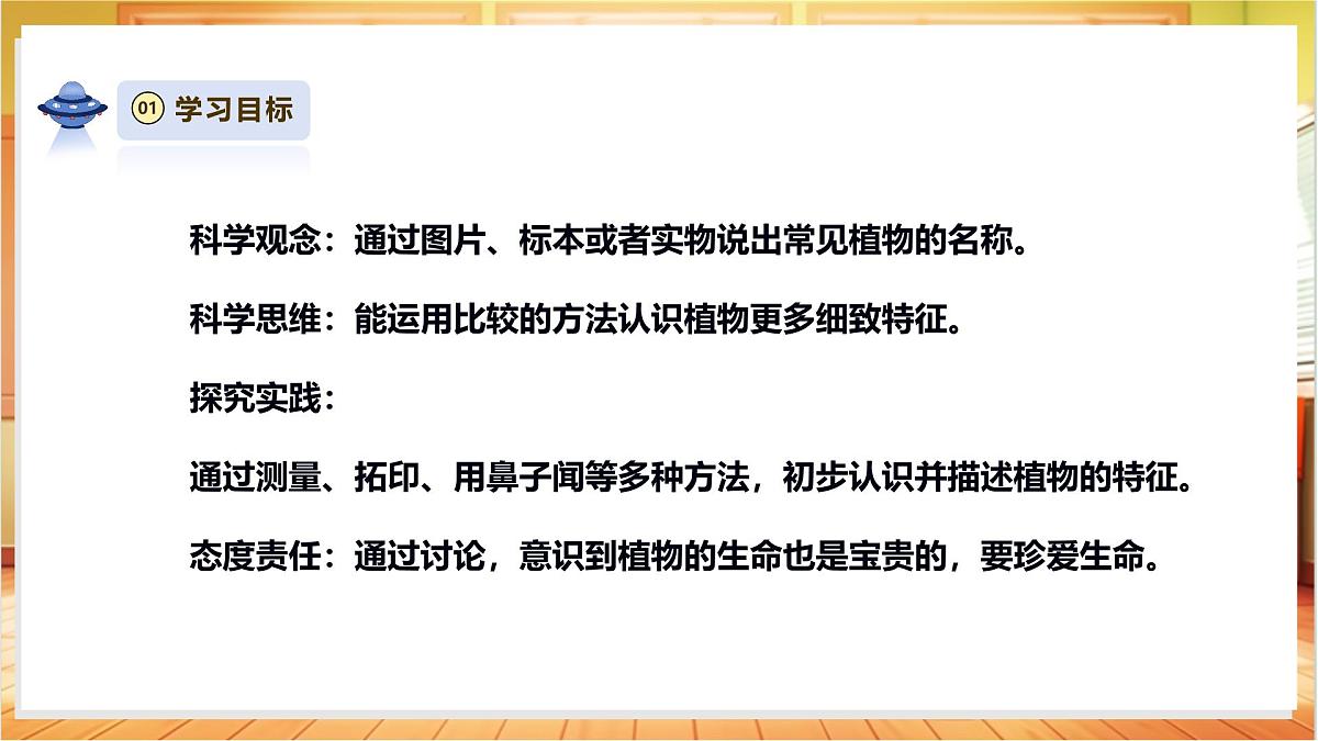 4.11《多姿多彩的植物》课时课件第3页