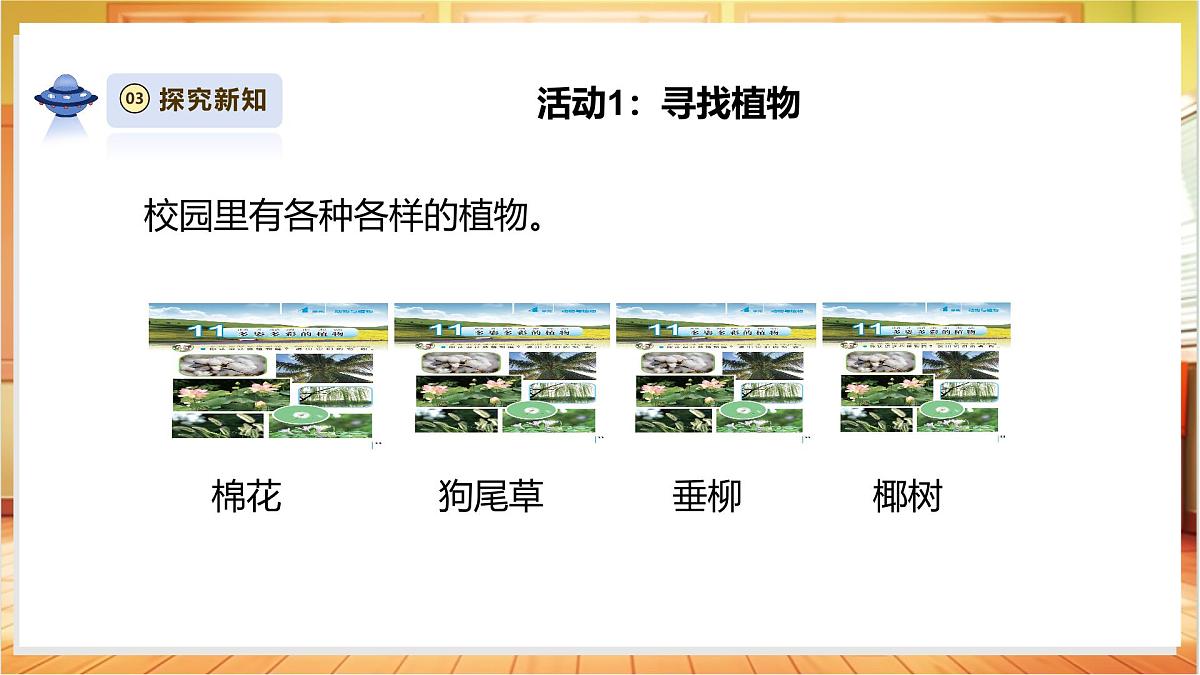 4.11《多姿多彩的植物》课时课件第8页