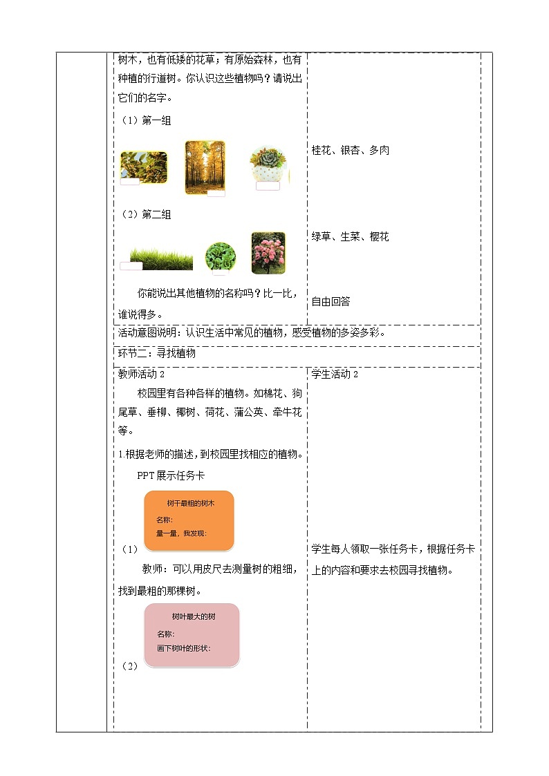 【大单元整体教学】4.11《多姿多彩的植物》课时教案第2页