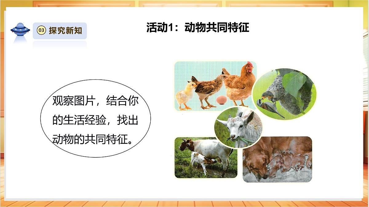4.12《动物与植物》课时课件第6页