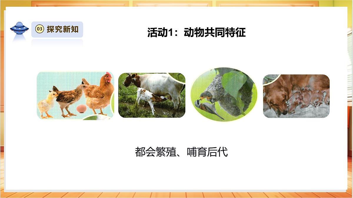 4.12《动物与植物》课时课件第7页
