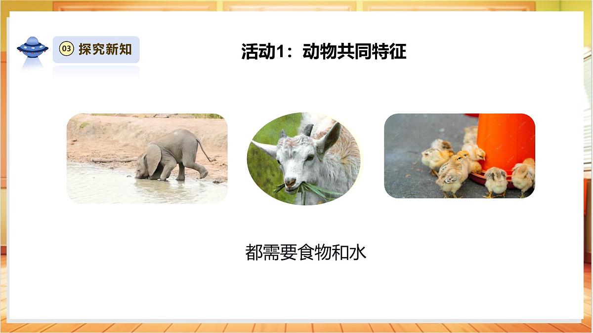 4.12《动物与植物》课时课件第8页