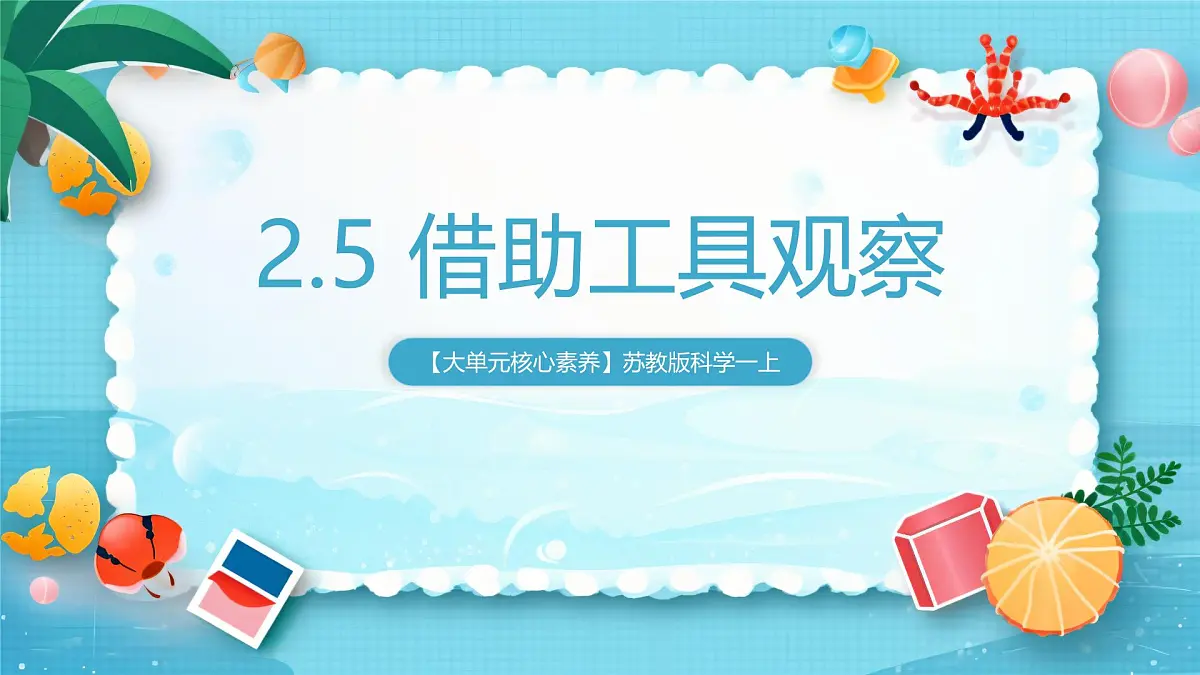 【大单元核心素养】苏教版科学一上2.5《借助工具观察》课件第1页