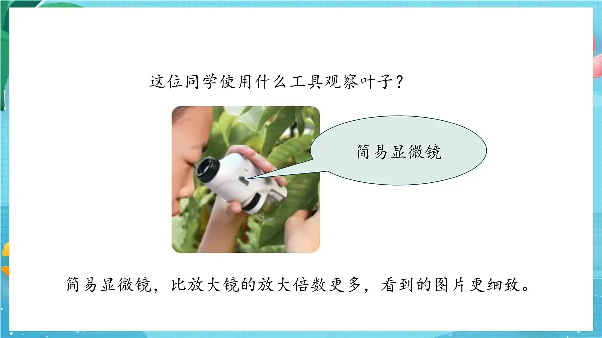 【大单元核心素养】苏教版科学一上2.5《借助工具观察》课件第5页