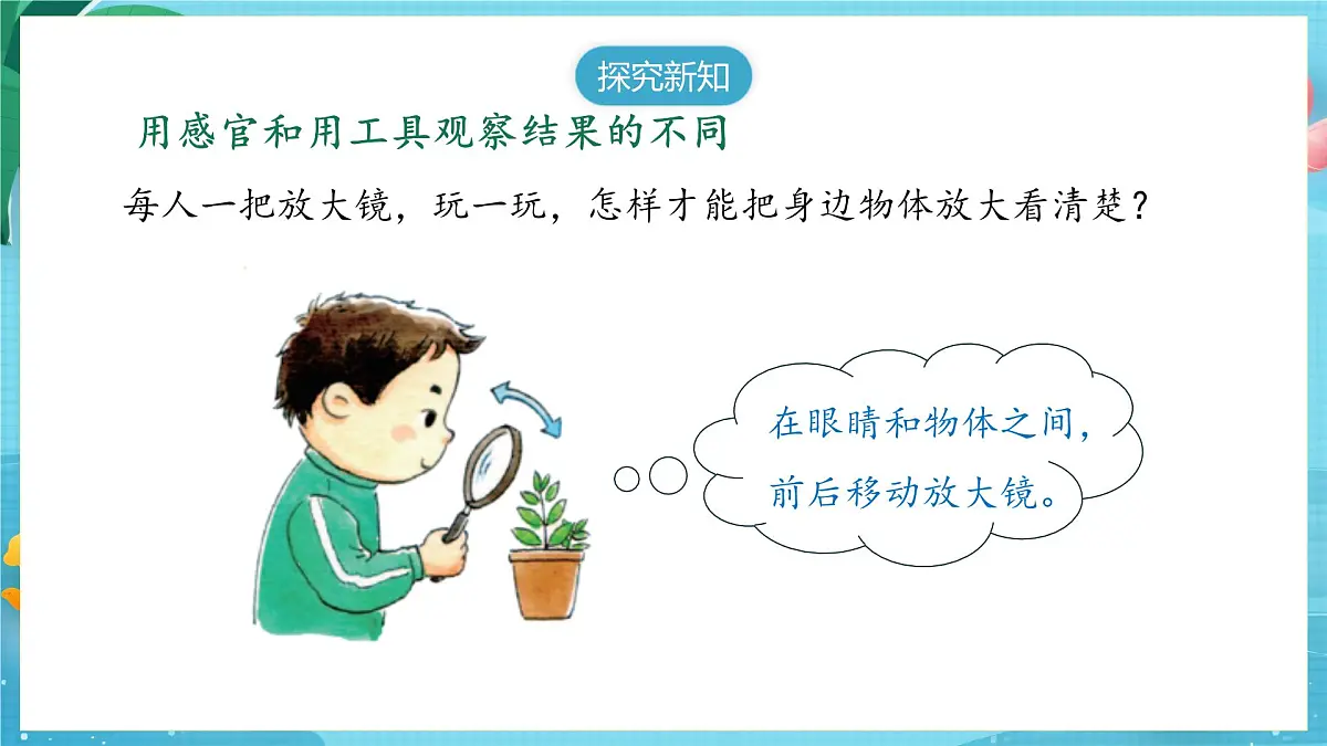 【大单元核心素养】苏教版科学一上2.5《借助工具观察》课件第6页