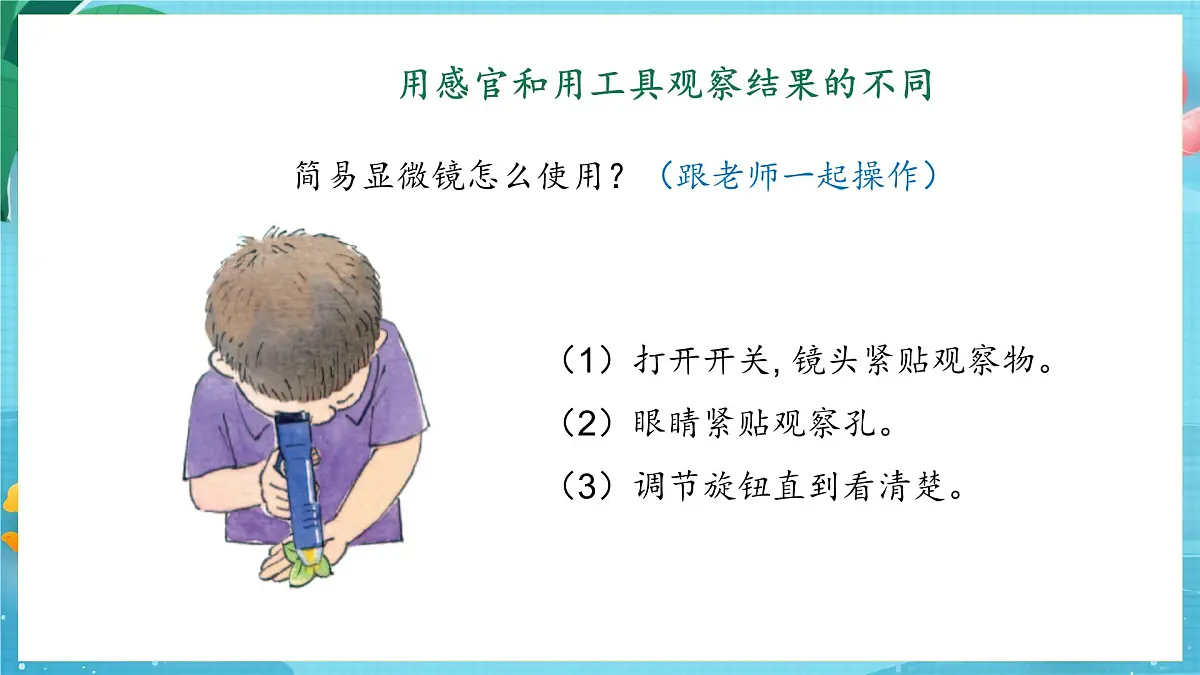 【大单元核心素养】苏教版科学一上2.5《借助工具观察》课件第7页