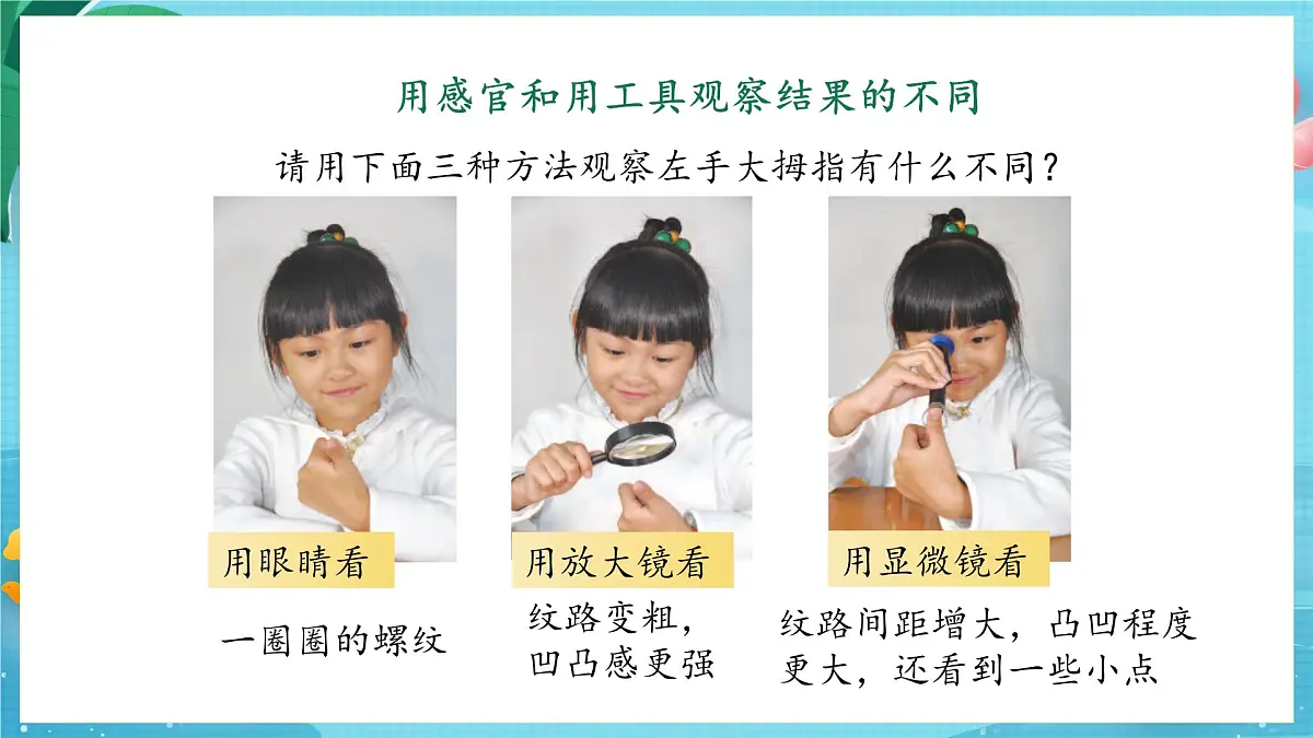 【大单元核心素养】苏教版科学一上2.5《借助工具观察》课件第8页