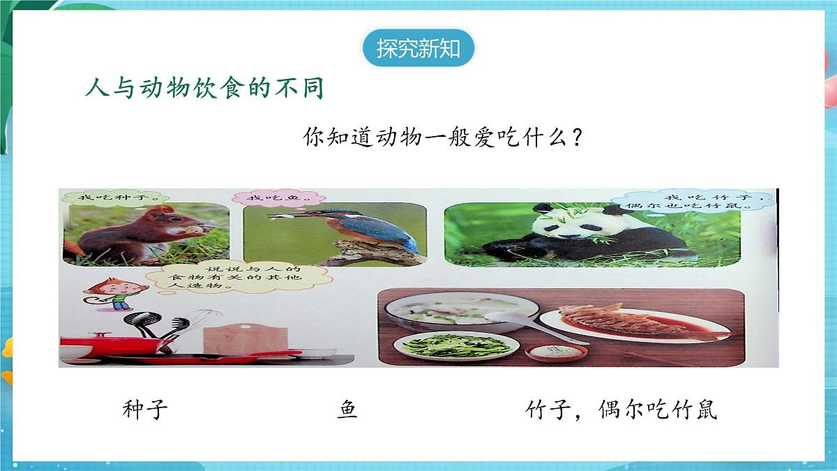 【大单元核心素养】苏教版科学一上4.11《人工世界》课件第5页