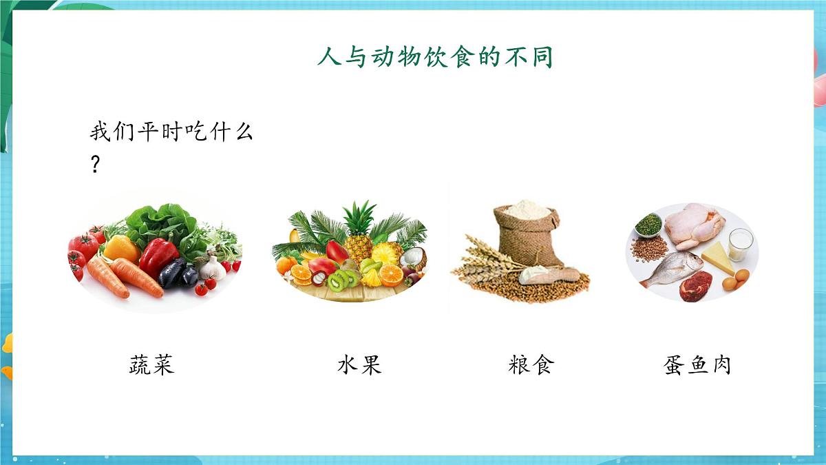 【大单元核心素养】苏教版科学一上4.11《人工世界》课件第6页