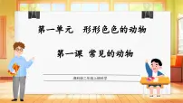小学科学湘科版（2024）二年级上册（2024）1 常见的动物教学ppt课件
