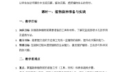 科学二年级上册（2024）1.  养植物教案设计