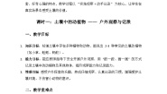 科学二年级上册（2024）3.  土壤中的动植物教学设计