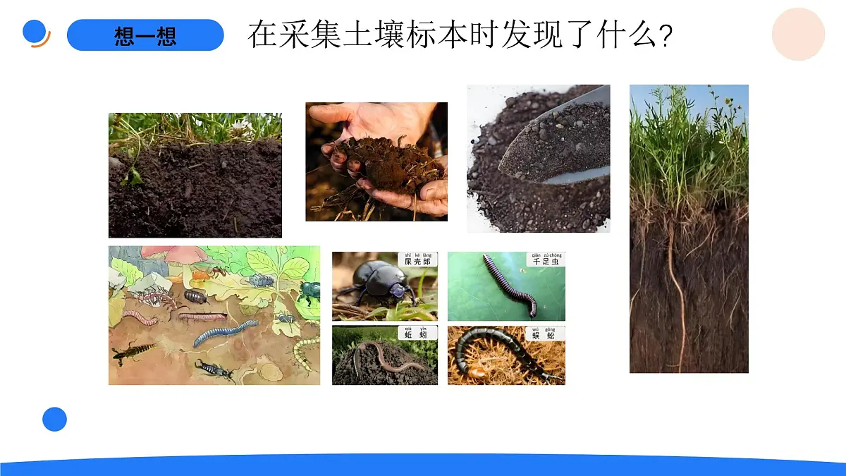 4-16采集土壤第4页