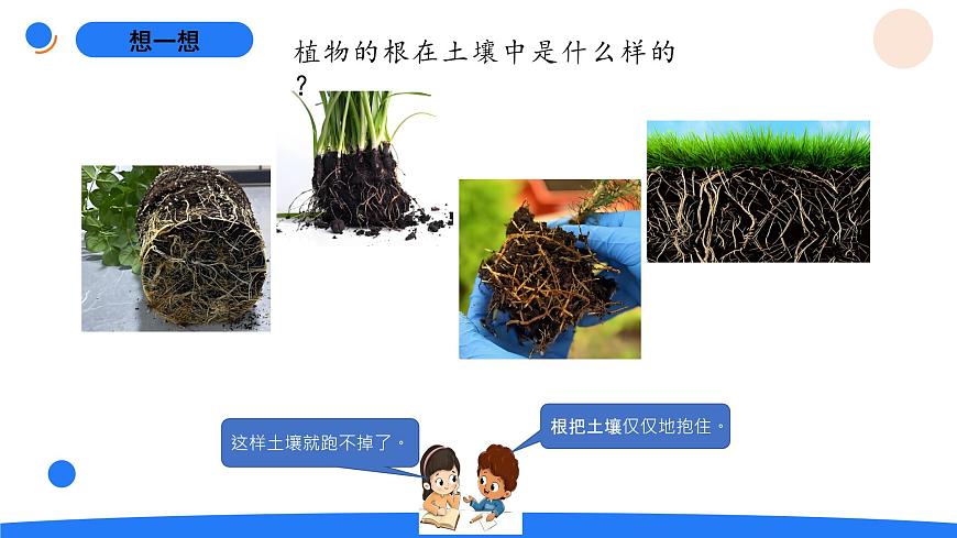 4-19土壤的保護第3頁