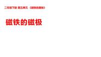 小学科学湘科版（2024）三年级上册（2024）20  磁铁的磁极课文内容ppt课件