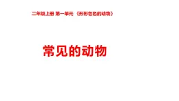 2025年秋湘科版二年級科學(xué)上冊 1-1 常見的動物（課件+教案含練習(xí)及答案）
