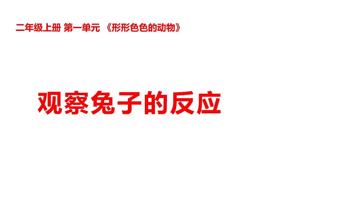 1-2观察兔子的反应第1页