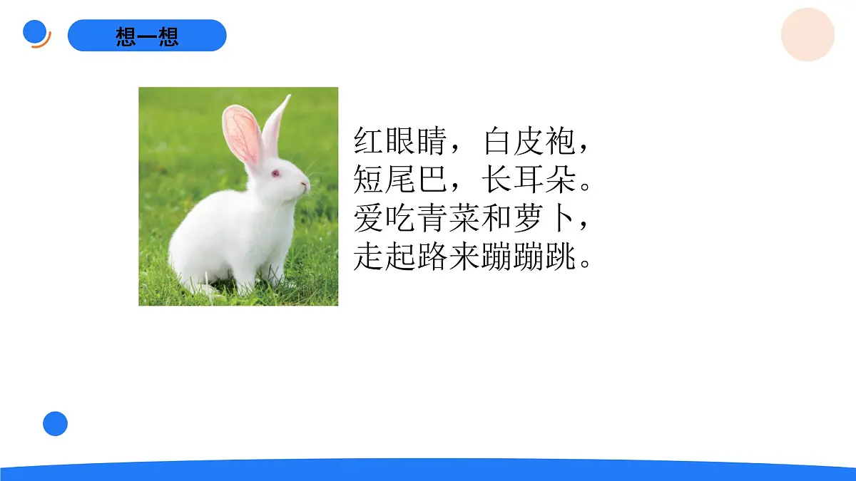1-2观察兔子的反应第2页