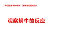 2025年秋湘科版二年級科學(xué)上冊 1-3 觀察蝸牛的反應(yīng)（課件+教案含練習(xí)及答案）
