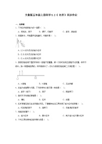 小学科学大象版（2024）五年级上册杠杆精品一课一练
