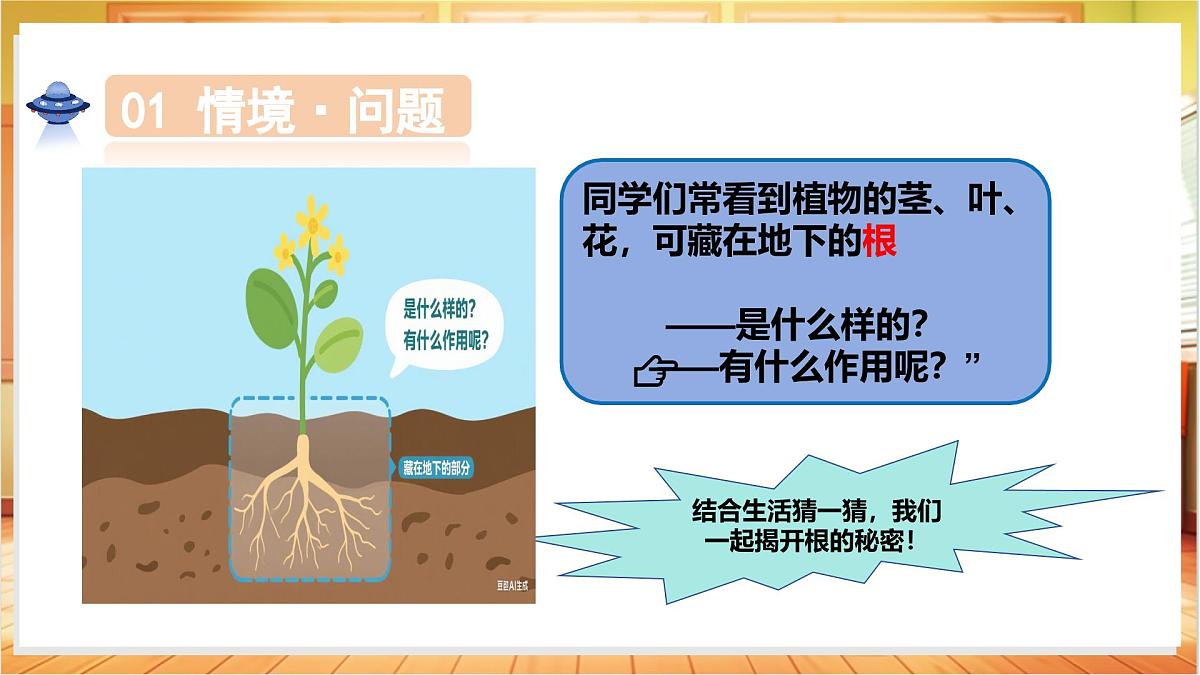 1.3+植物的根(教学课件)科学粤教粤科版三年级上册(新教材)第5页