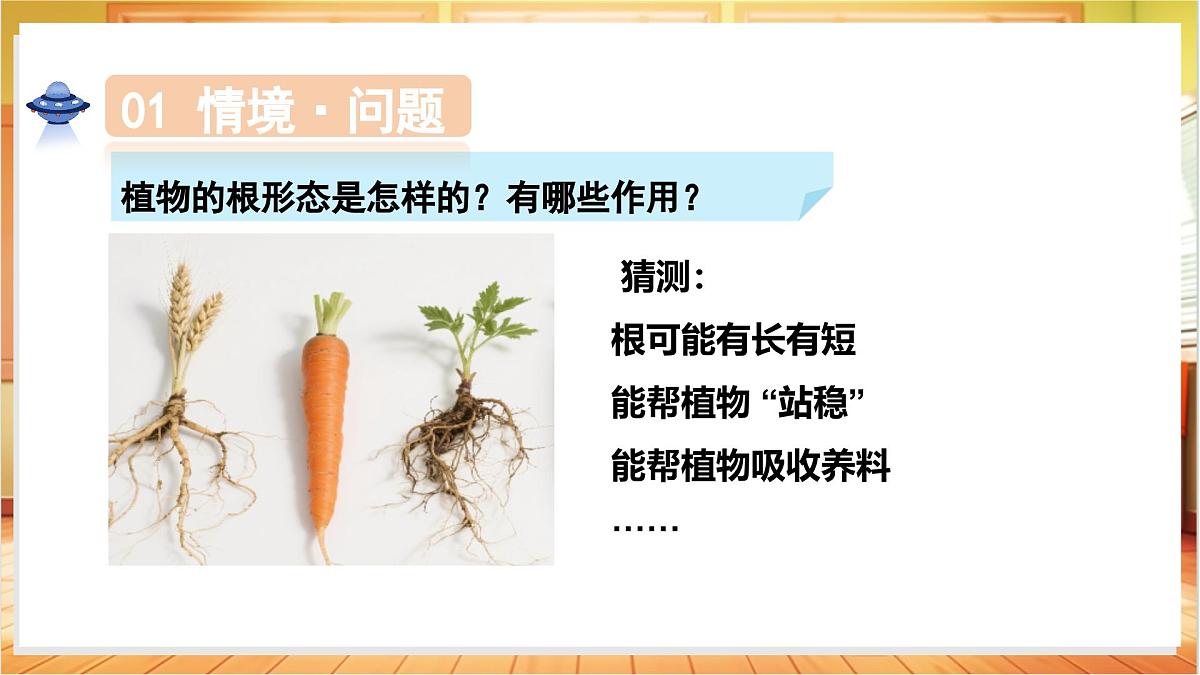 1.3+植物的根(教学课件)科学粤教粤科版三年级上册(新教材)第6页