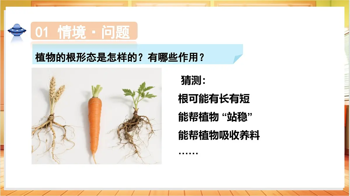 1.3+植物的根(教学课件)科学粤教粤科版三年级上册(新教材)第6页