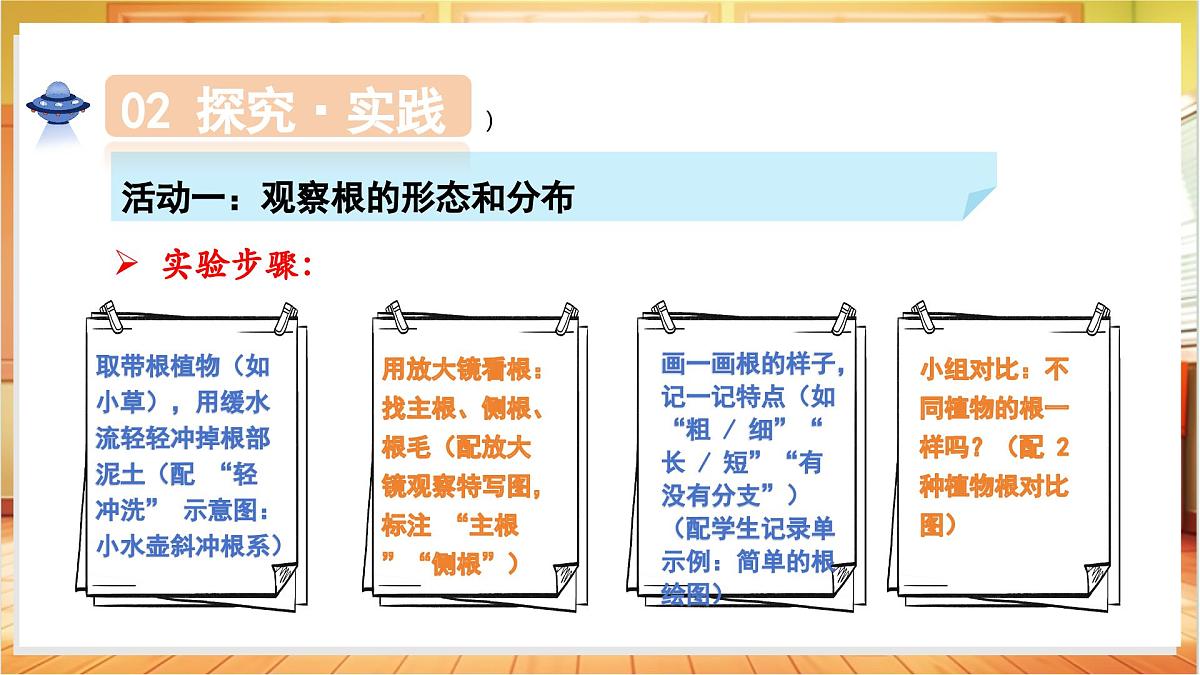 1.3+植物的根(教学课件)科学粤教粤科版三年级上册(新教材)第7页