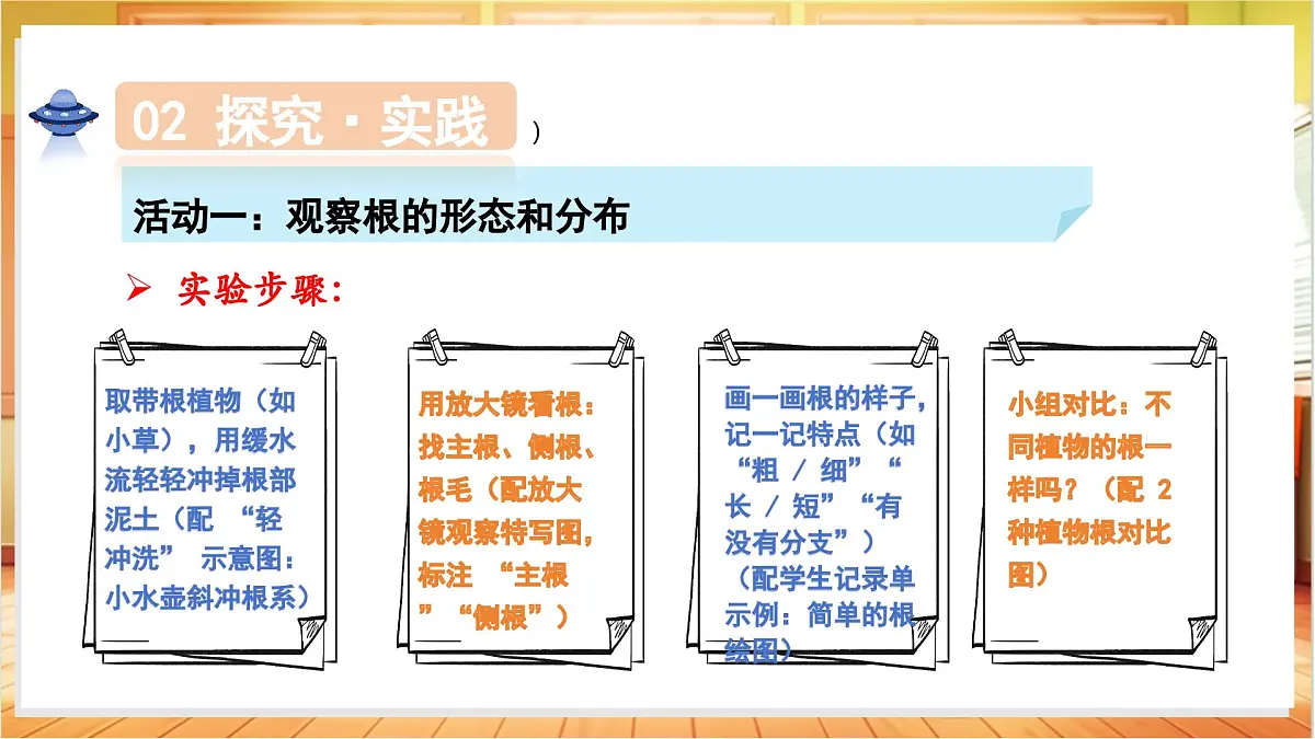 1.3+植物的根(教学课件)科学粤教粤科版三年级上册(新教材)第7页