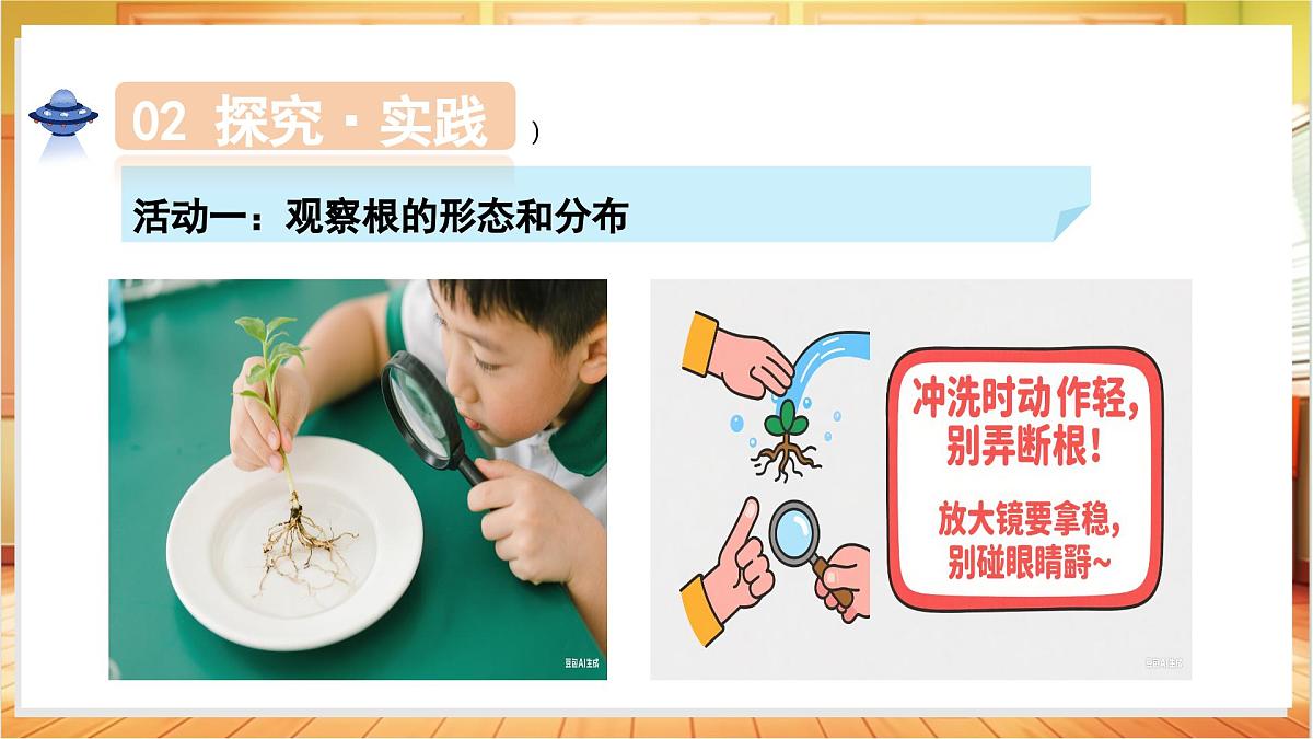 1.3+植物的根(教学课件)科学粤教粤科版三年级上册(新教材)第8页