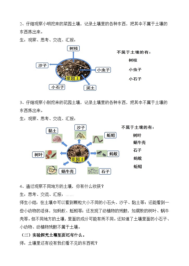 《1 土壤里面有什么》 (教案)2025-2026学年苏教版三年级科学上册第3页