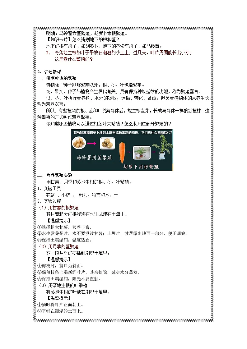 人教鄂教版四年级上册《不用种子怎样繁殖》教学设计1第2页