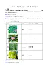 （2024教科版）一年级科學上册第一单元第二课《观察植物》同步練習（（学生版+教师版）