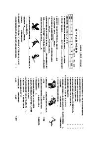 苏教版小学科学四年级上册第1单元动物大家族能力检测卷