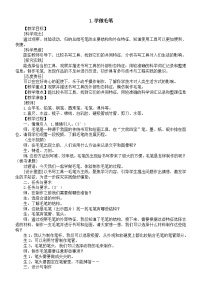 科学三年级上册（2024）1  学做毛笔教案