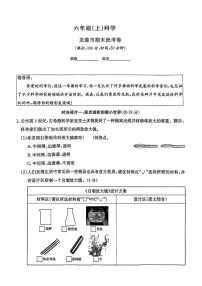 浙江省温州市龙港市2024-2025学年六年级上学期期末科学试题及答案