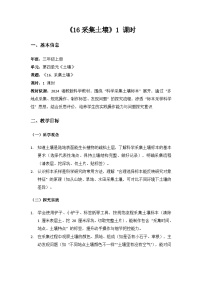 小学科学湘科版（2024）三年级上册（2024）第四单元  土壤16  采集土壤教案