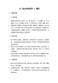 大象版（2024）4  昆虫和鱼类教学设计