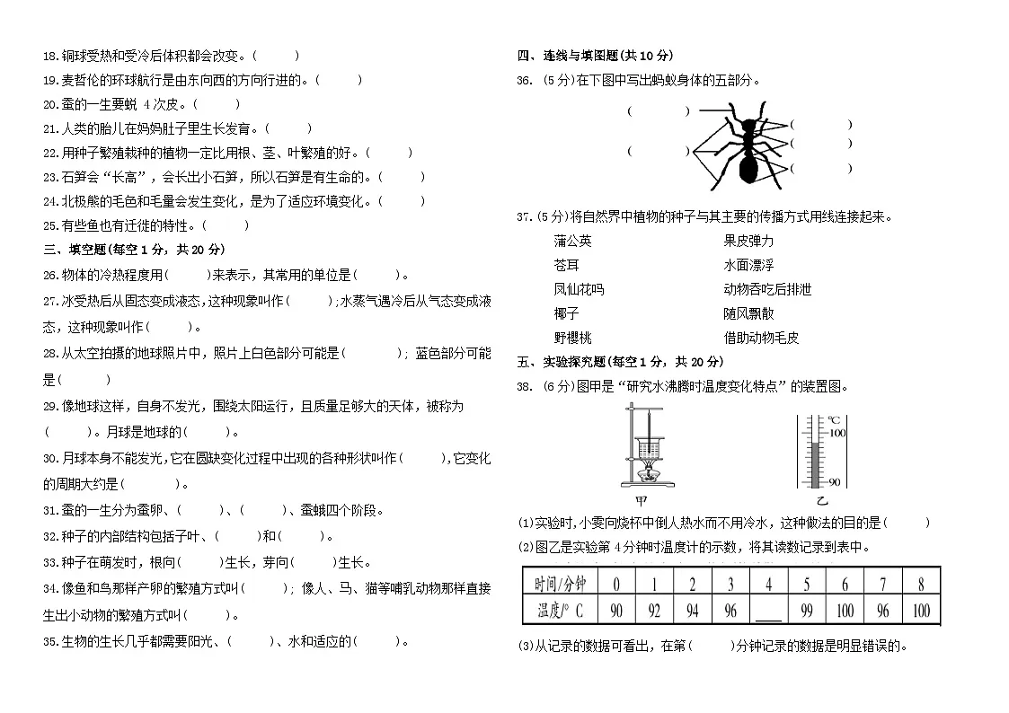 苏教版小学科学四年级下册期末试题三(含答案)第2页