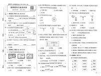 2025-2026学年3年级科学上·大象版-期中综合素养评价试题（含答案）