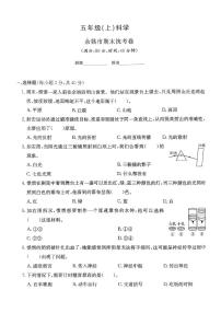 浙江省宁波市余姚市2024-2025学年五年级上学期期末科学试题